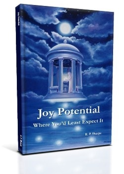 Joy Potential: Where You'd Least Expect It book cover