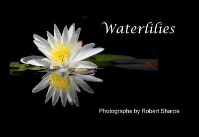 Waterlilies — Photographs by Robert Sharpe book